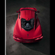 Image for article titled Here Is the 2020 Mid-Engine Corvette Before You’re Supposed to See It